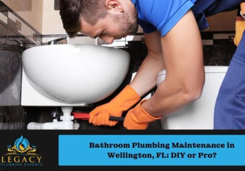 Bathroom Plumbing Maintenance in Wellington, FL: DIY or Pro?