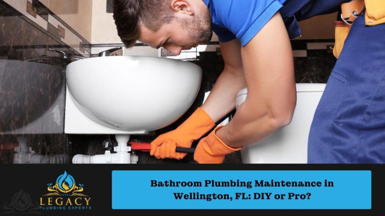 Bathroom Plumbing Maintenance in Wellington, FL: DIY or Pro?