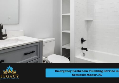 Emergency Bathroom Plumbing Service in Seminole Manor, FL