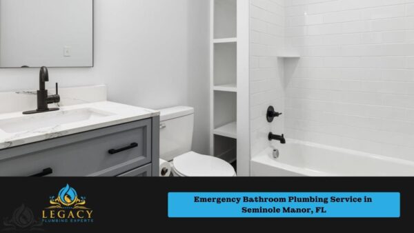 Emergency Bathroom Plumbing Service in Seminole Manor, FL