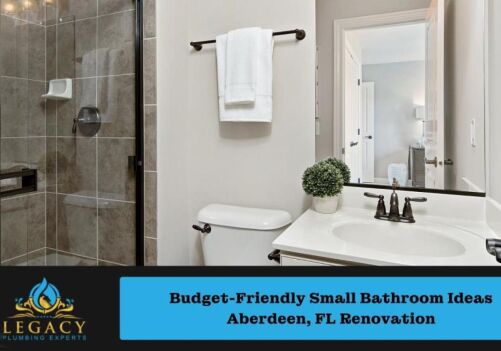 Budget-Friendly Small Bathroom Ideas Aberdeen, FL Renovation