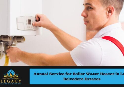 Annual Service for Boiler Water Heater in Lake Belvedere Estates