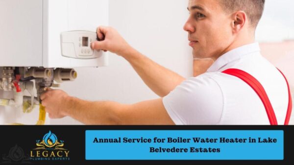 Annual Service for Boiler Water Heater in Lake Belvedere Estates