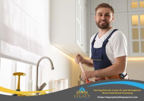 Drain Clog Plumber in Lake Clarke Shores, FL Clears Shower Blockage