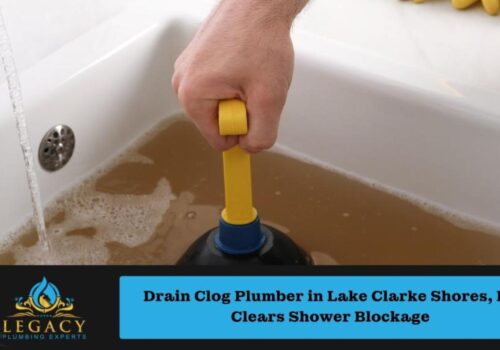 Drain Clog Plumber in Lake Clarke Shores, FL Clears Shower Blockage