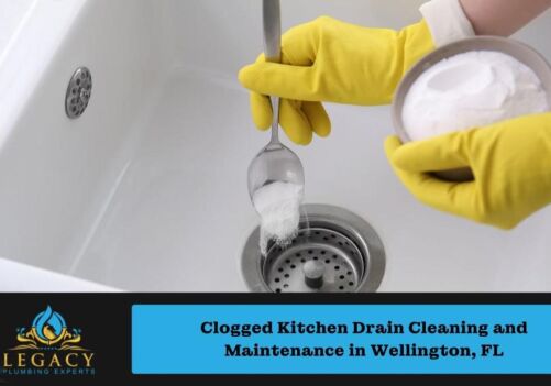 Clogged Kitchen Drain Cleaning and Maintenance in Wellington, FL