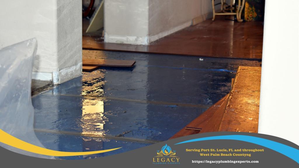 Plumbing Leak Detection Services for Older Homes in Golden Lakes, FL