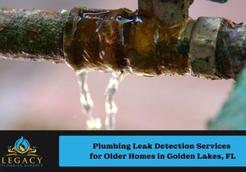 Plumbing Leak Detection Services for Older Homes in Golden Lakes, FL