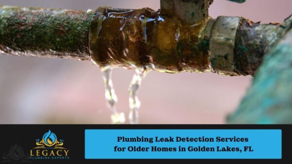 Plumbing Leak Detection Services for Older Homes in Golden Lakes, FL