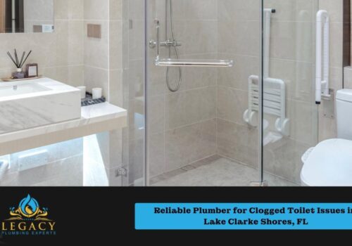 Reliable Plumber for Clogged Toilet Issues in Lake Clarke Shores, FL