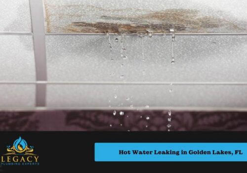 Resolving Hot Water Leaking in Golden Lakes, FL