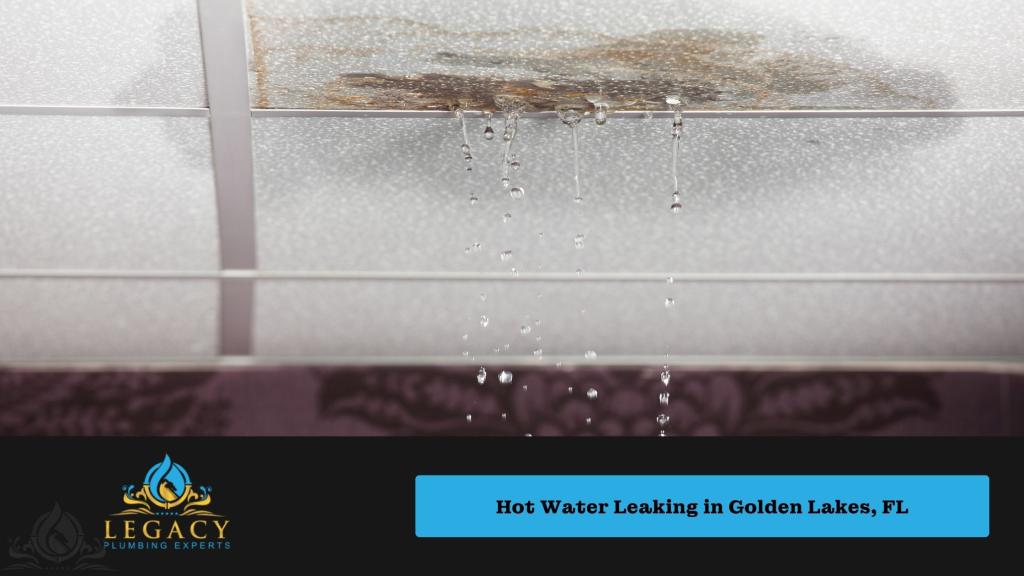 Resolving Hot Water Leaking in Golden Lakes, FL